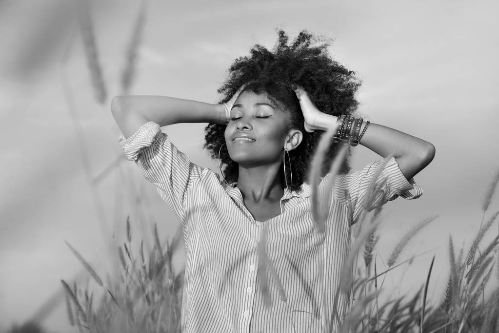 привлекательная молодая африканская американка на поле на закате
 - Фото, изображение