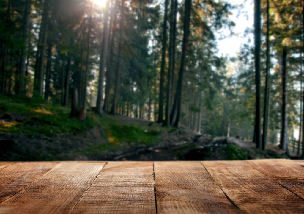 Empty wooden table in the background of the forest - Photo, Image
