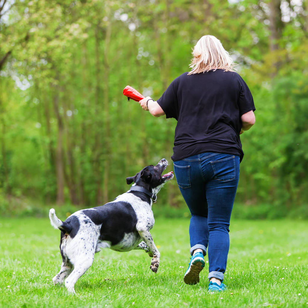 γυναίκα παίζει με το σκύλο της σε εξωτερικούς χώρους - Φωτογραφία, εικόνα