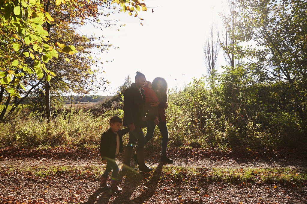 Aile sonbahar yürüyüş  - Fotoğraf, Görsel