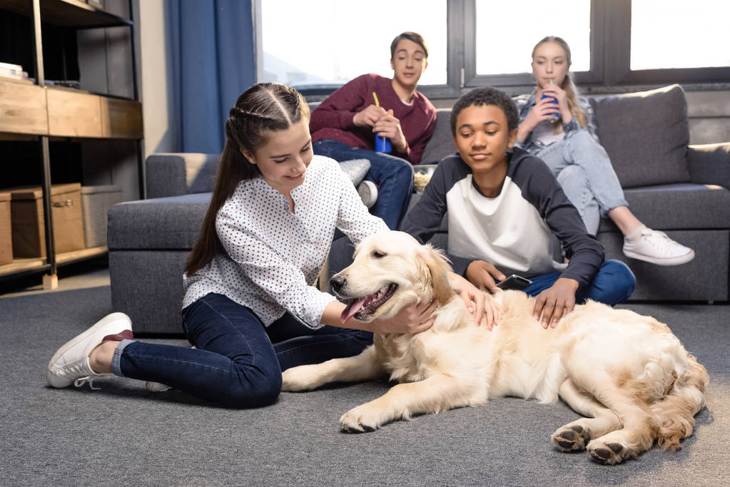 Adolescentes con perro golden retriever
  - Foto, imagen