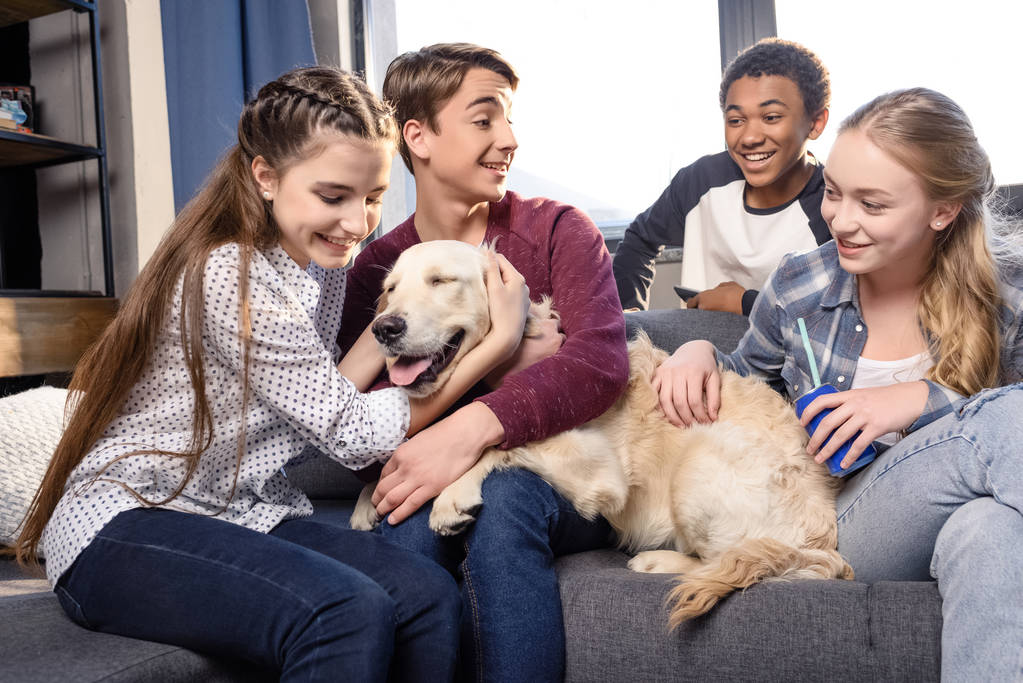 Teenagers with golden retriever dog  - Photo, Image