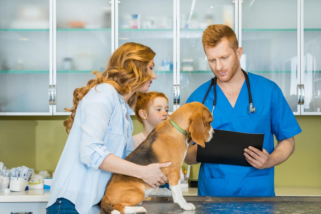 Badania weterynaryjne psa w klinice - Zdjęcie, obraz