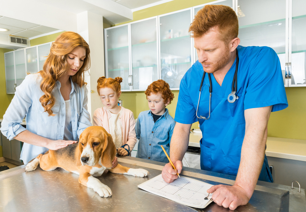 pes na veterinární lékaře  - Fotografie, Obrázek
