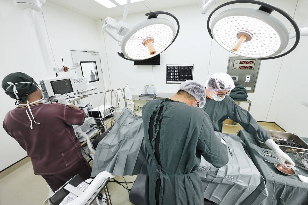 Grupo de cirurgia veterinária na sala de operação
  - Foto, Imagem