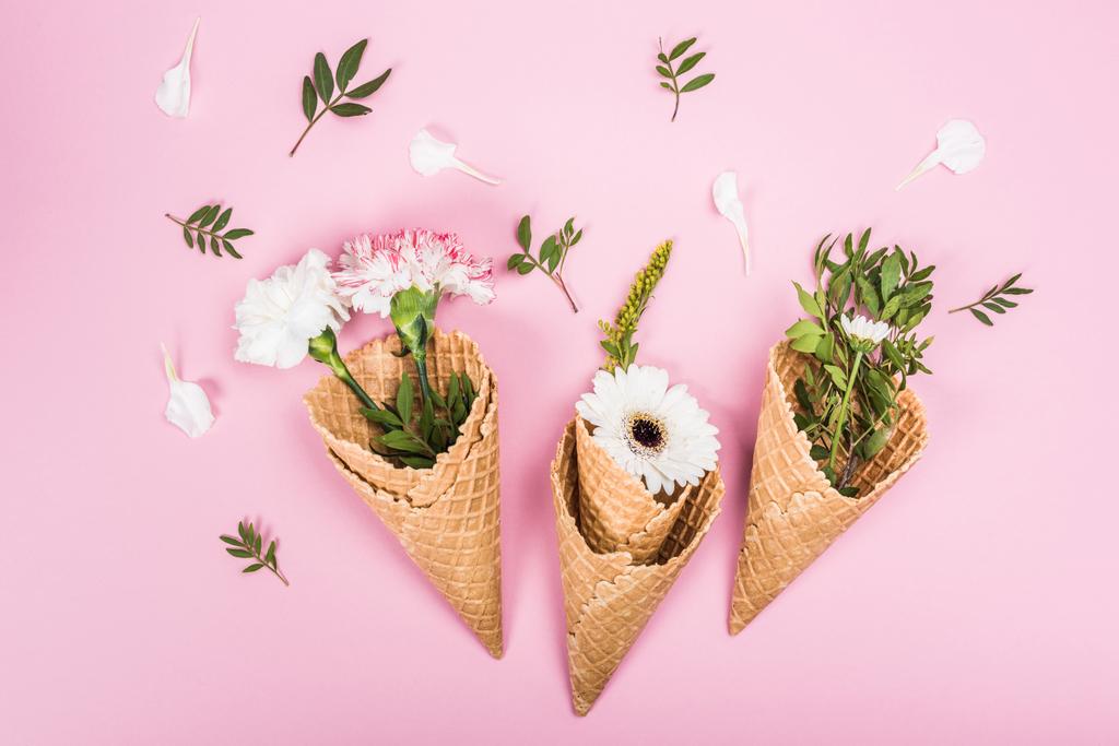 flores en conos de azúcar
 - Foto, Imagen