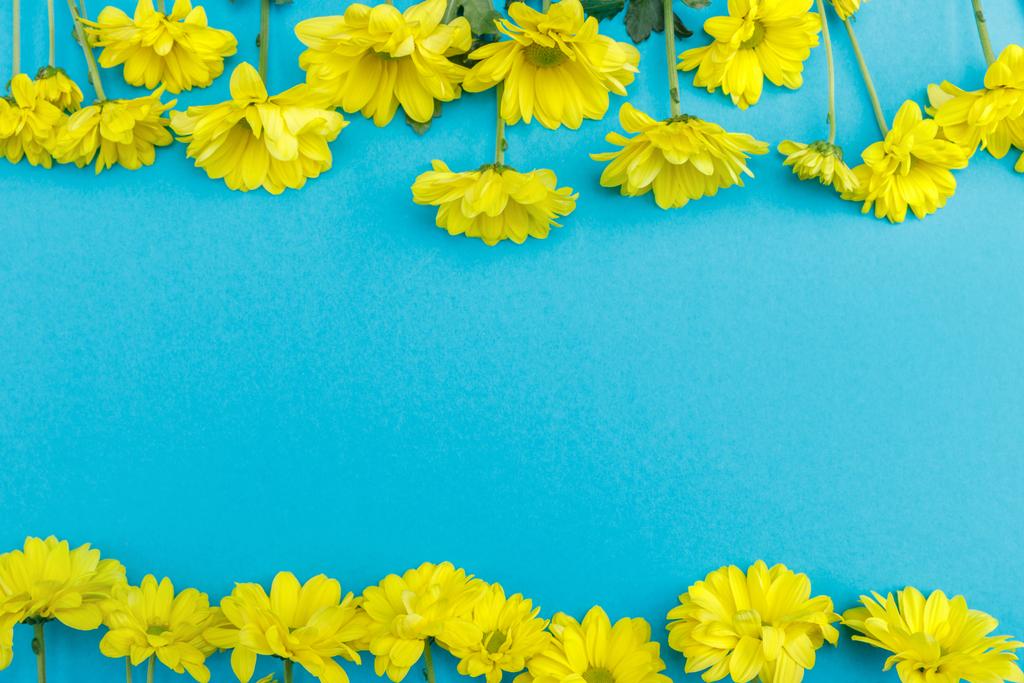 Krásné žluté květy - Fotografie, Obrázek