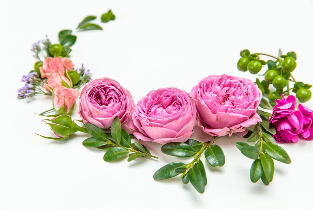 Piękne różowe róże - Zdjęcie, obraz
