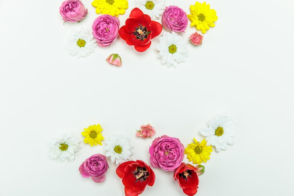 krásné kvetoucí květiny - Fotografie, Obrázek