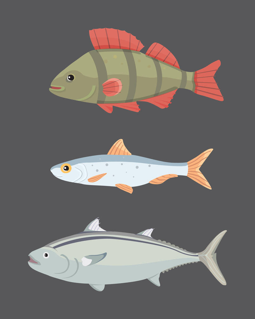 İzole akarsu balığıdır. Tatlı su deniz karikatür balıklar kümesi. Fauna okyanus vektör çizim - Vektör, Görsel