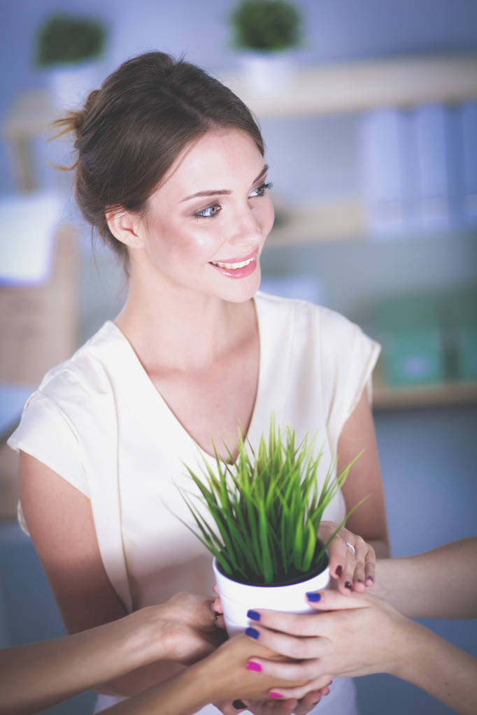 Hermosa mujer sosteniendo la olla con una planta
 - Foto, Imagen