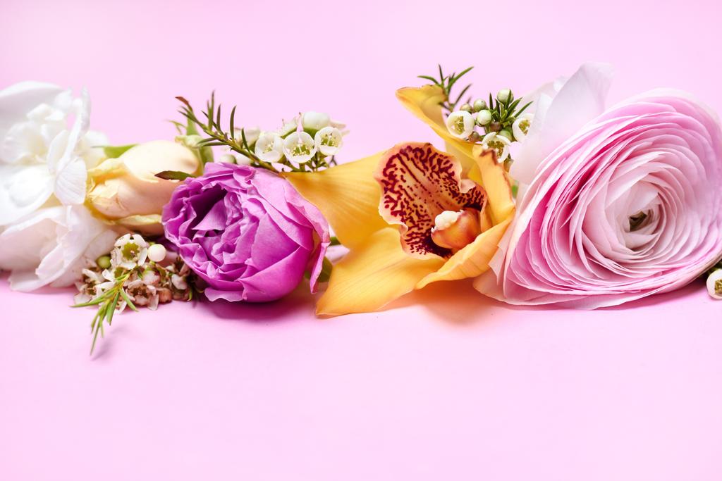 mooie bloeiende bloemen - Foto, afbeelding
