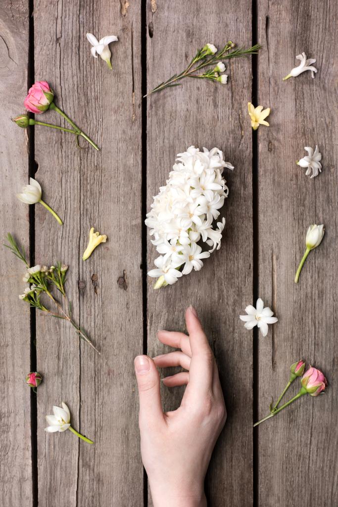 花と人間の手 - 写真・画像
