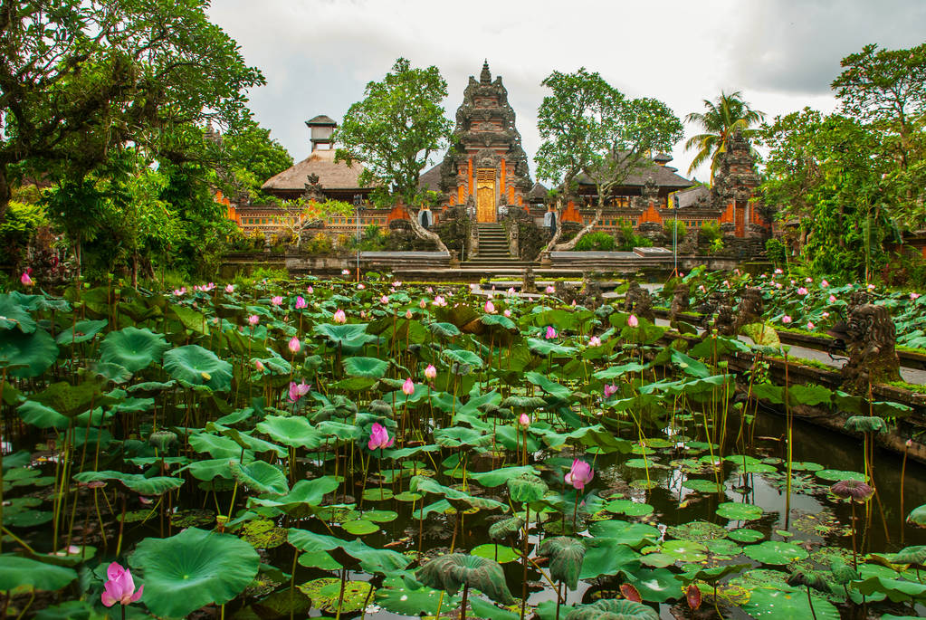 Templo del Loto. Ubud, Bali
. - Foto, Imagen