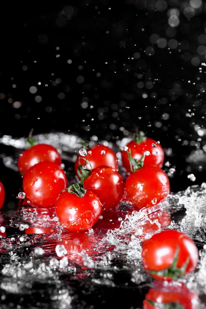 Мокрий свіжі помідори
  - Фото, зображення