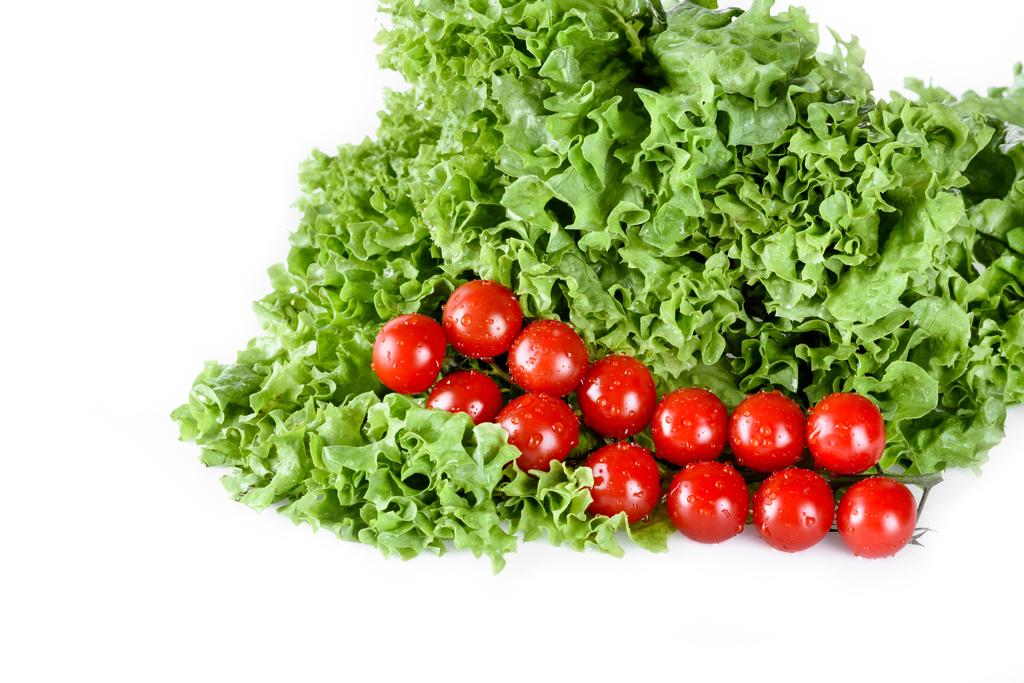 feuilles de salade de laitue aux tomates
 - Photo, image