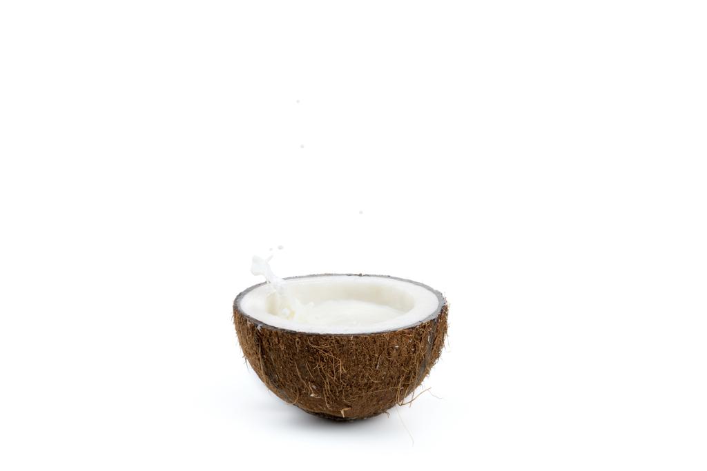 спелый тропический кокос с молоком
 - Фото, изображение