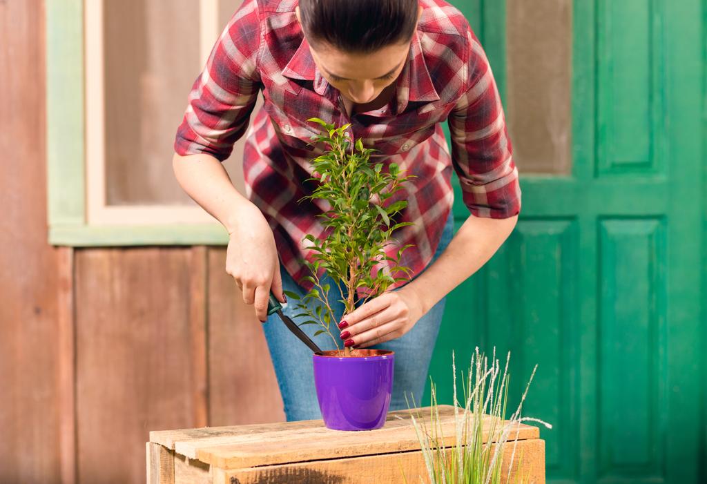 Fiatal Kertész kockás ing termesztett növény a pot a tornácon - Fotó, kép