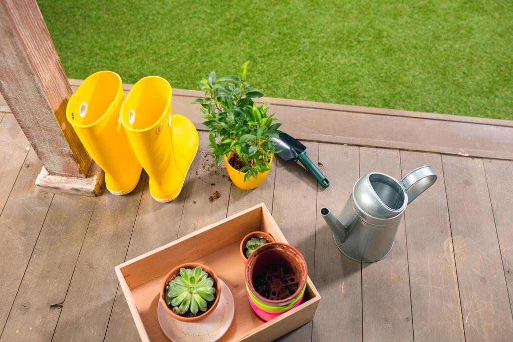regadera, botas amarillas y plantas en caja de madera en porche
 - Foto, Imagen