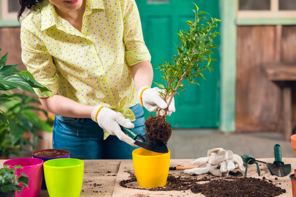 cropped view of woman transplanting plant in new flowerpot on porch   - Photo, Image