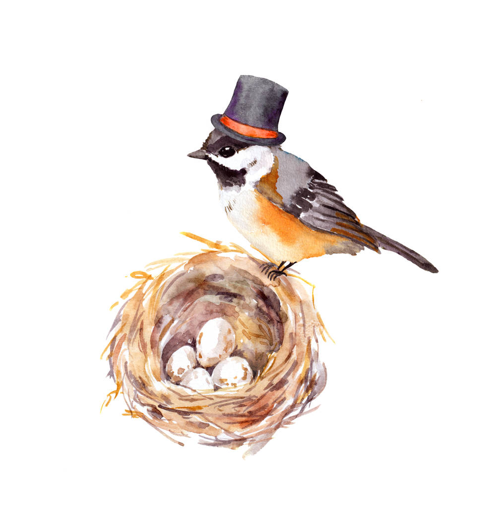 День батька листівка. Вінтажний птах у високому капелюсі в гнізді з яйцями. Акварельний живопис
 - Фото, зображення