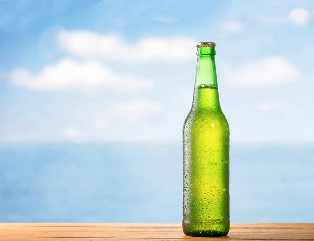 eine Flasche Bier und das Meer - Foto, Bild