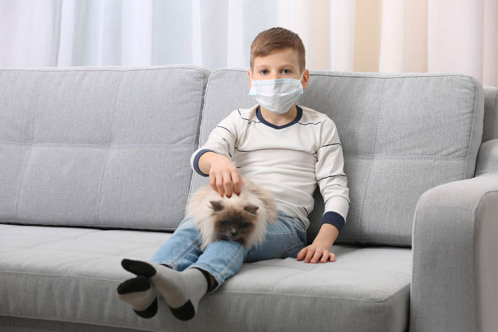 Έννοια των ζώων αλλεργία. Χαριτωμένο μικρό αγόρι με γάτα στον καναπέ στο σπίτι - Φωτογραφία, εικόνα