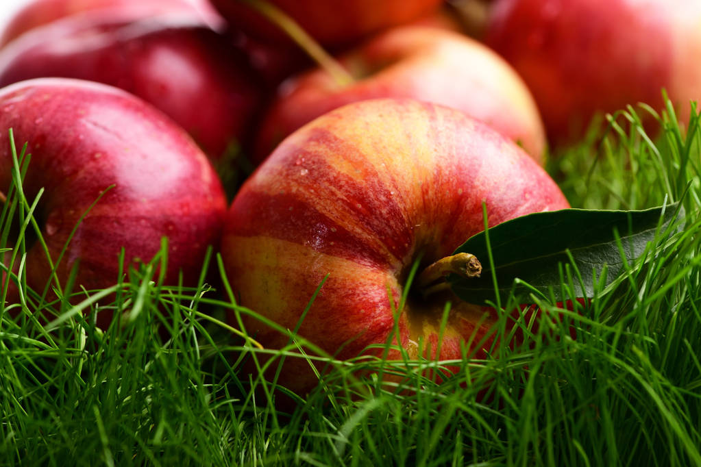 自然健康、食草の背景の上のリンゴ - 写真・画像