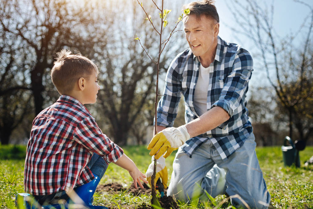 Father showing his son how to plant trees - Photo, Image