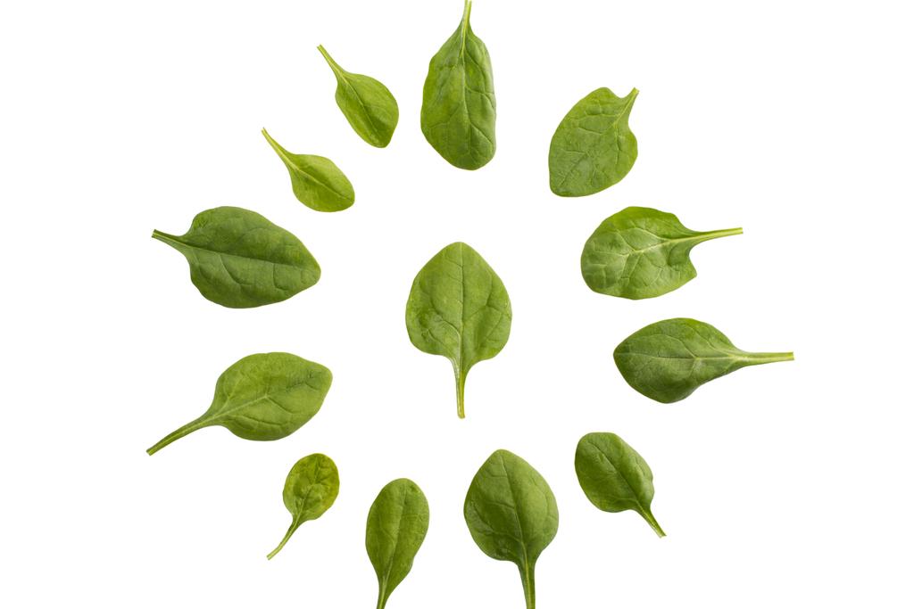 cirkel van spinazie bladeren - Foto, afbeelding