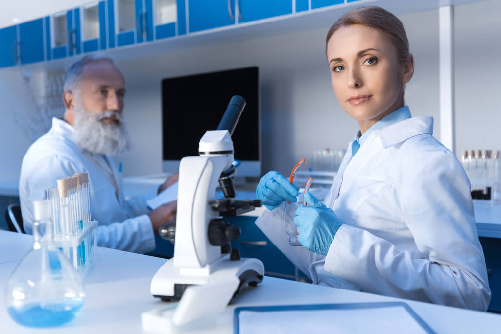 scientists working in lab - Photo, Image