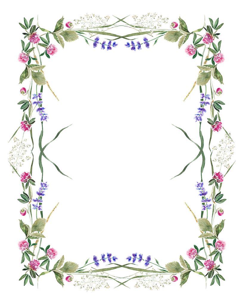 Zarter Sommerrahmen mit Blüten und Blättern von Klee, Lavendel, Erdbeere und Kräutern. Handgezeichnete Aquarellmalerei - Foto, Bild