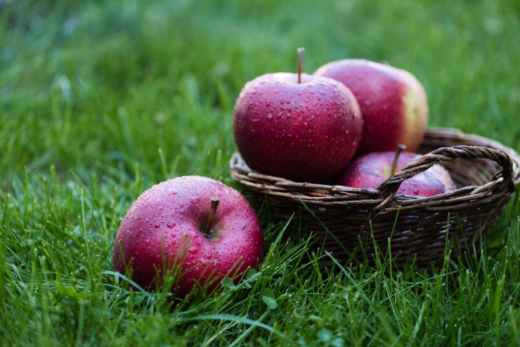Fresh podniósł czerwone jabłka  - Zdjęcie, obraz