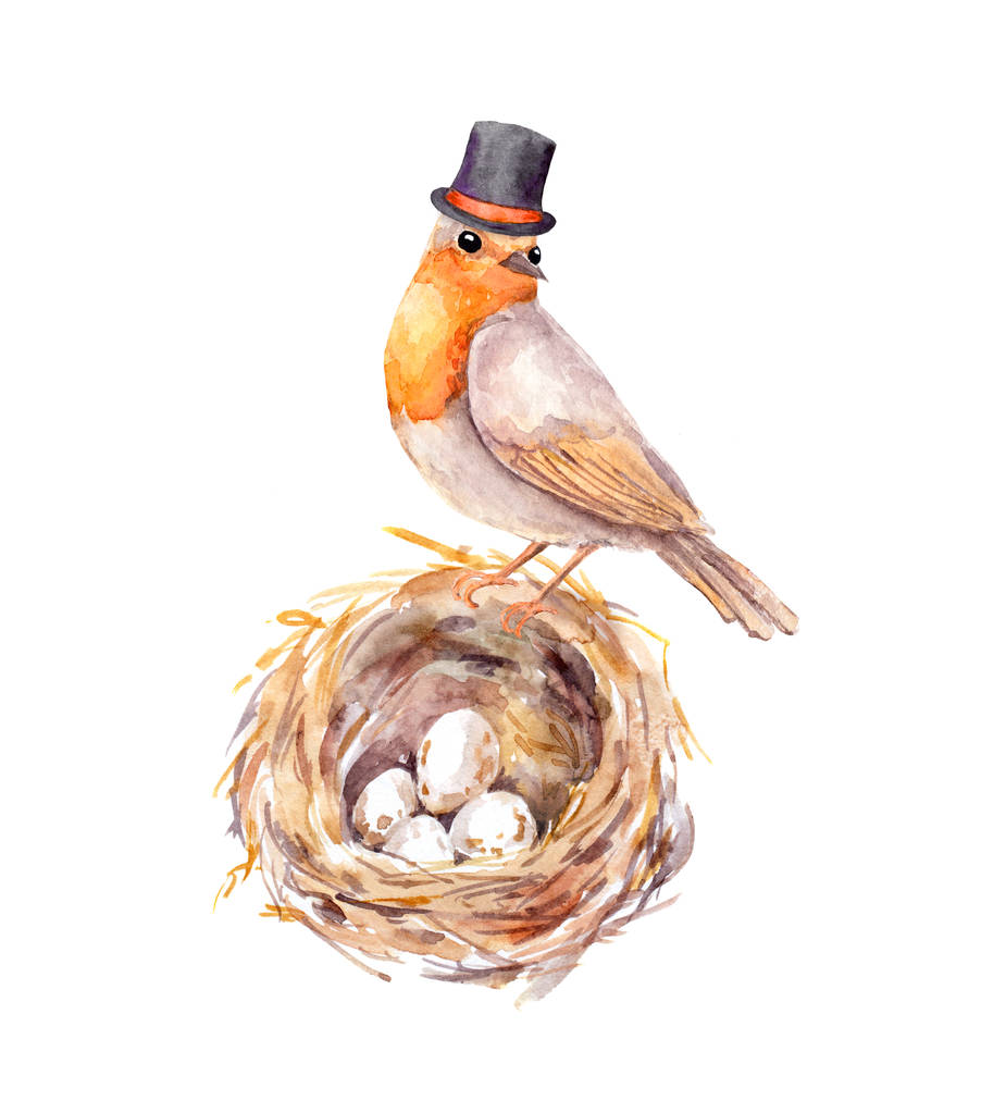 Fathers day illustration. Vintage bird in tall hat at nest with eggs. Watercolor - Photo, Image