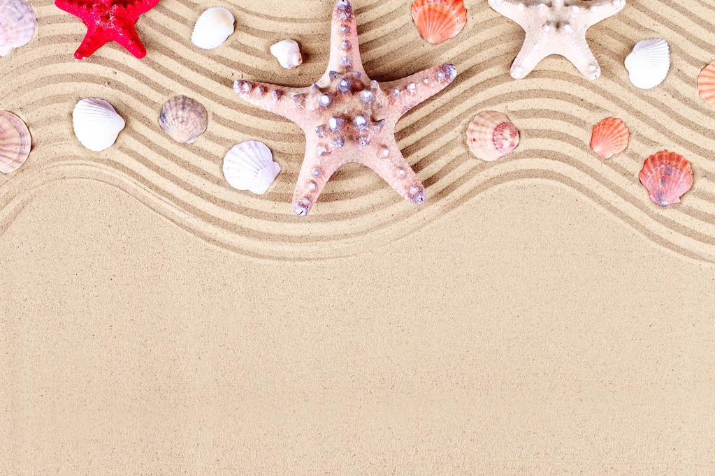 Starfish and shells on the beach. Summer vacation. - Photo, Image
