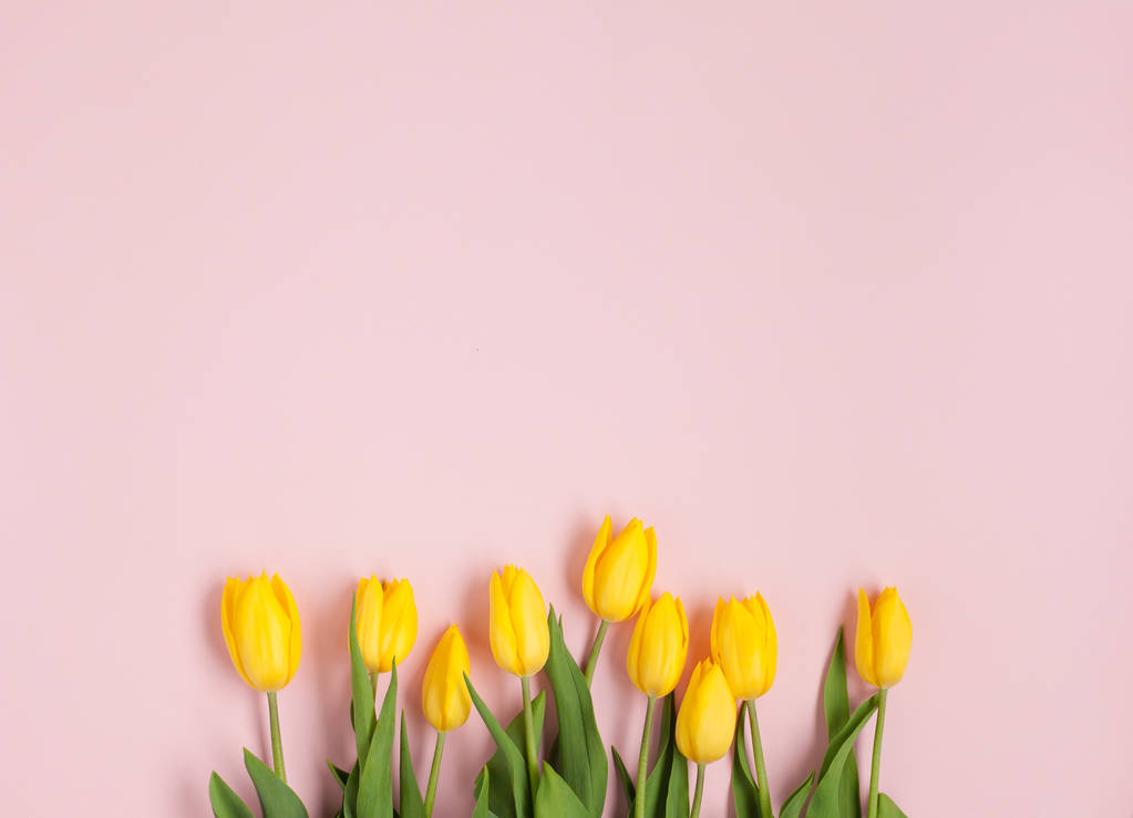 sárga tulipánok választék  - Fotó, kép