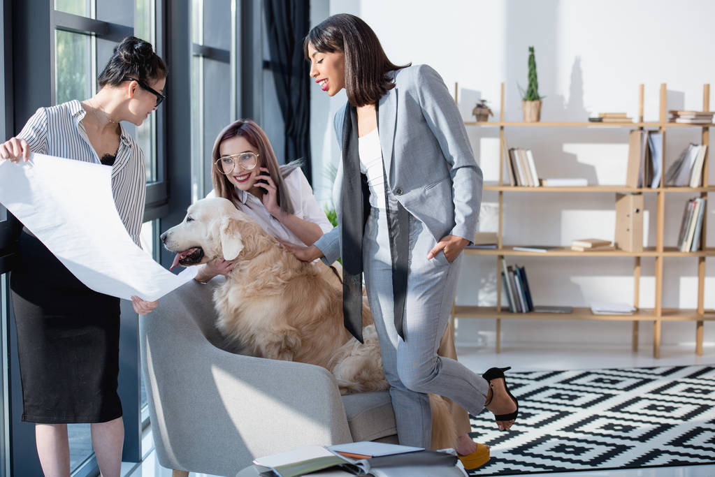 mulheres de negócios multiétnicas brincando com cão no escritório
 - Foto, Imagem