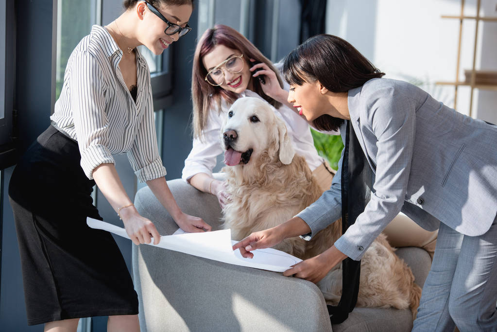 multi-etnisch zakenvrouwen blauwdruk tonen aan de hond - Foto, afbeelding