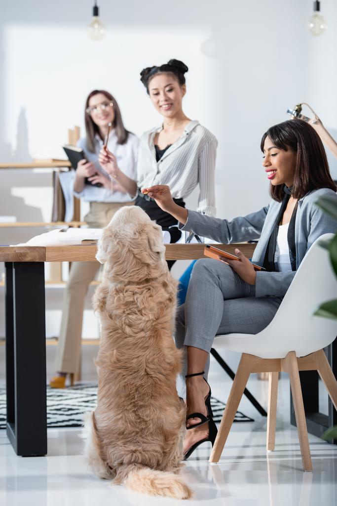donne che lavorano con cane in ufficio
 - Foto, immagini