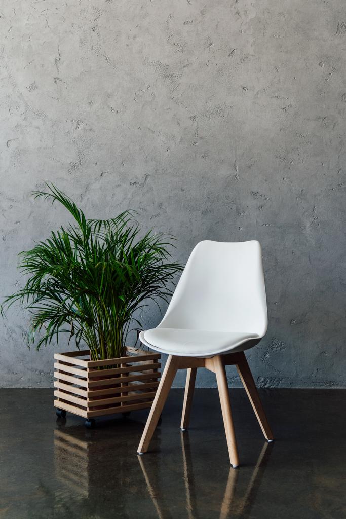 Moderni valkoinen tuoli
  - Valokuva, kuva