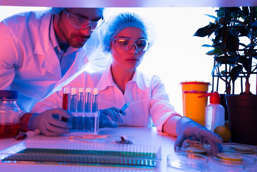 Οι επιστήμονες κατά τη διάρκεια της εργασίας στο εργαστήριο  - Φωτογραφία, εικόνα