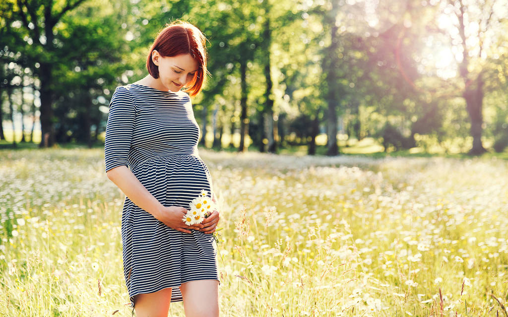 Schwangere in der Natur im Kamillenfeld - Foto, Bild