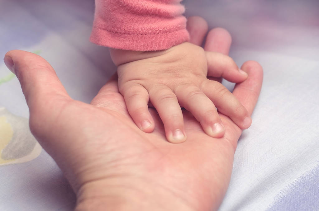 Pienen lapsen käsi vanhemman kädellä
 - Valokuva, kuva