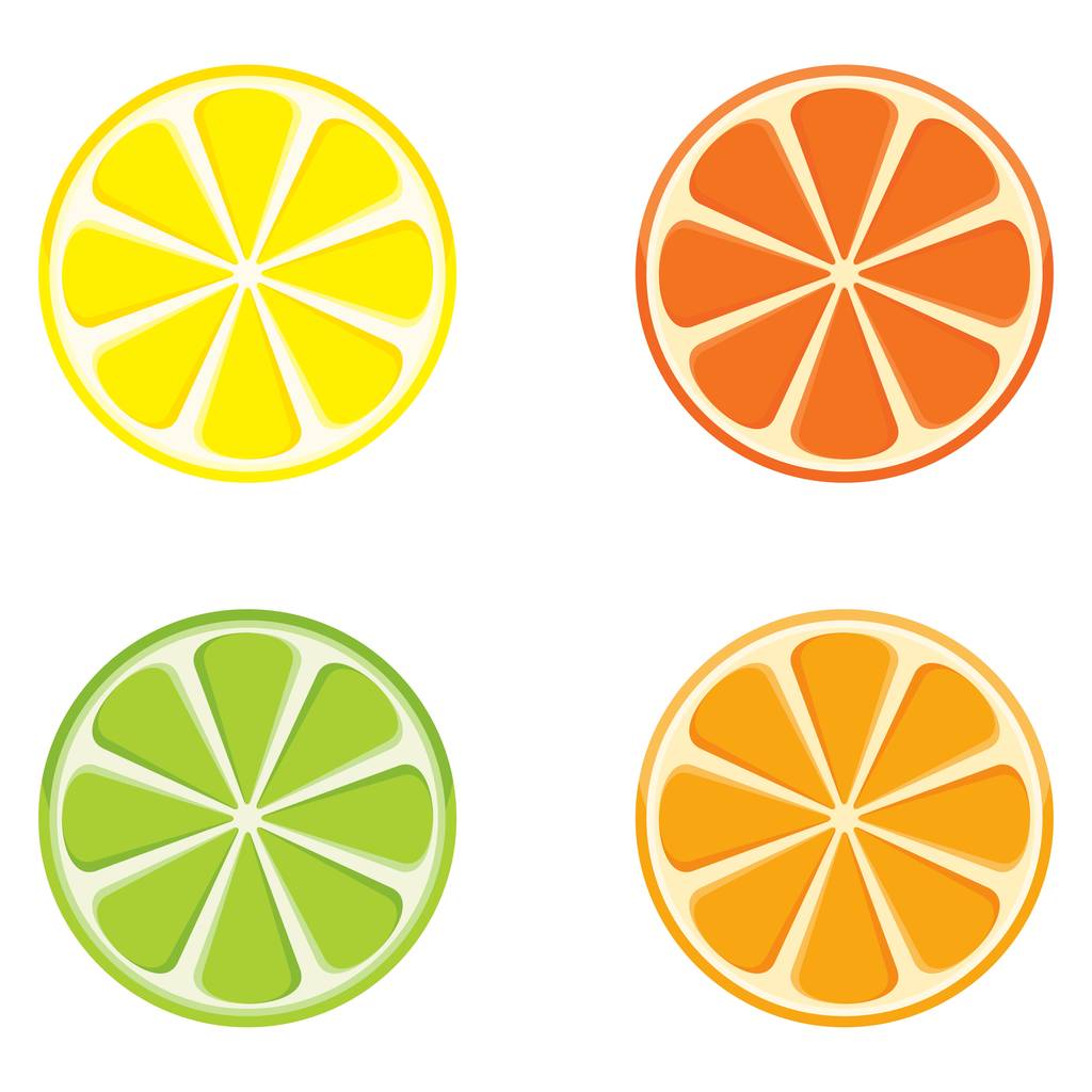 segmenten van citrusvruchten - Vector, afbeelding
