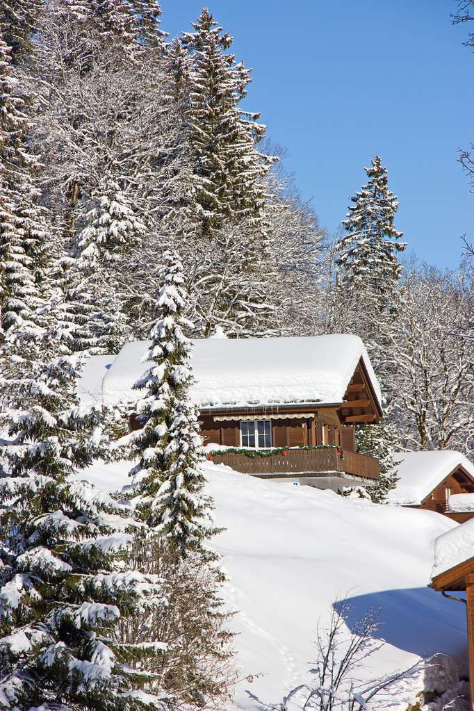 Inverno nelle Alpi
 - Foto, immagini