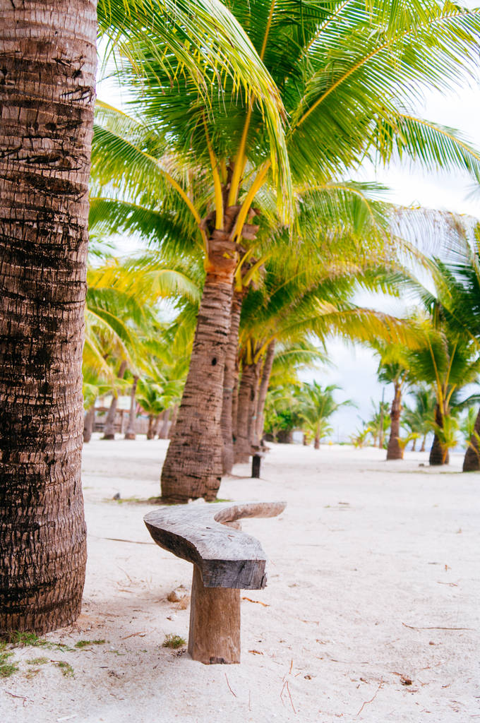 Paesaggio di paradiso isola tropicale con palme e spiaggia di sabbia bianca
 - Foto, immagini