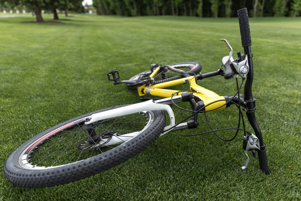 bicicleta deportiva tumbada sobre hierba en el parque
 - Foto, Imagen