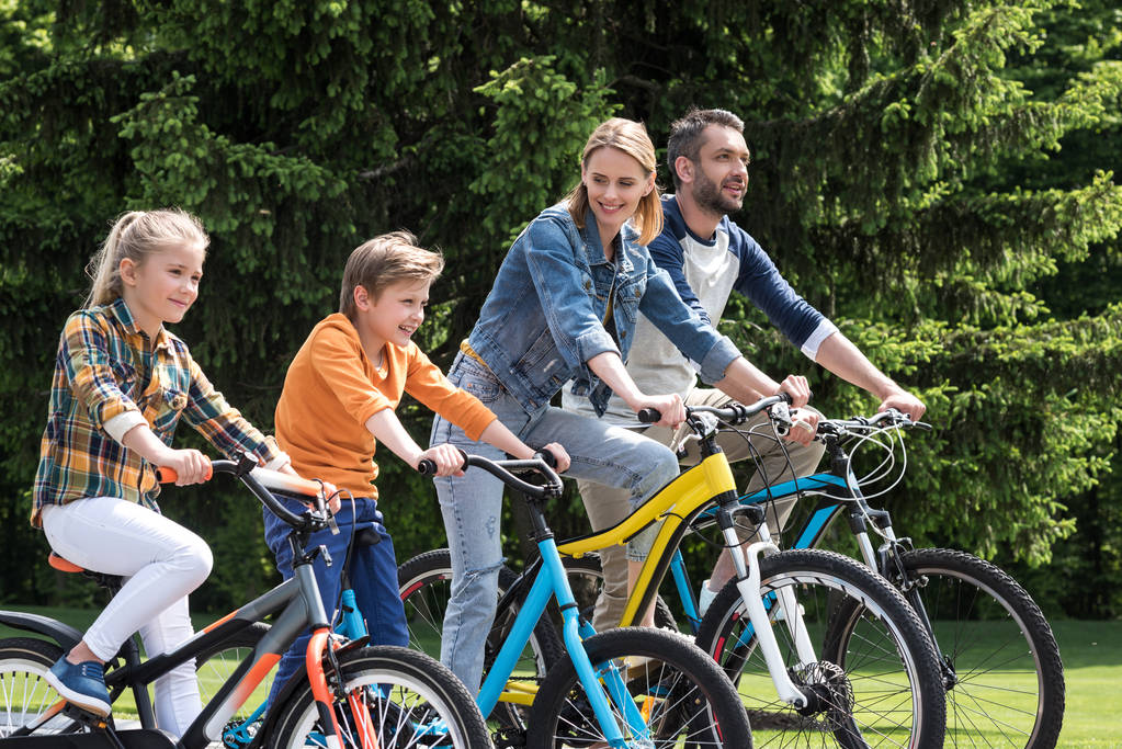 family riding bicycles - Photo, Image