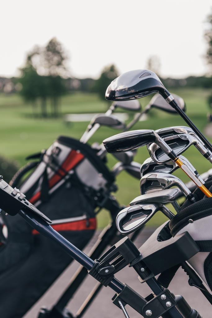 Golfschläger in Taschen  - Foto, Bild