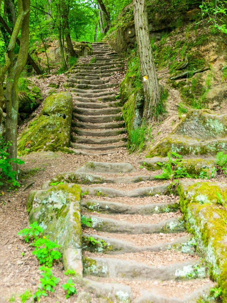 Escaleras largas de arenisca en el bosque, Mseno, Kokorinsko, República Checa
. - Foto, imagen